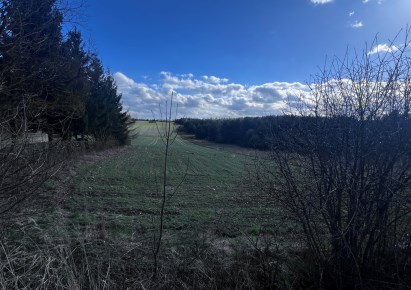 działka na sprzedaż - Olsztyn, Biskupice