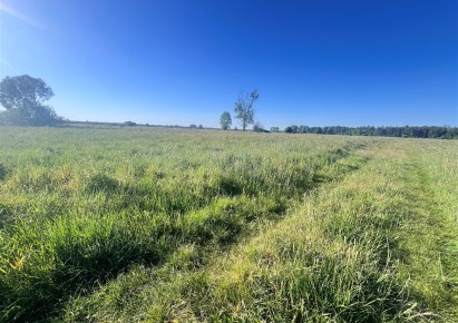 działka na sprzedaż - Dąbrowa Zielona, Święta Anna